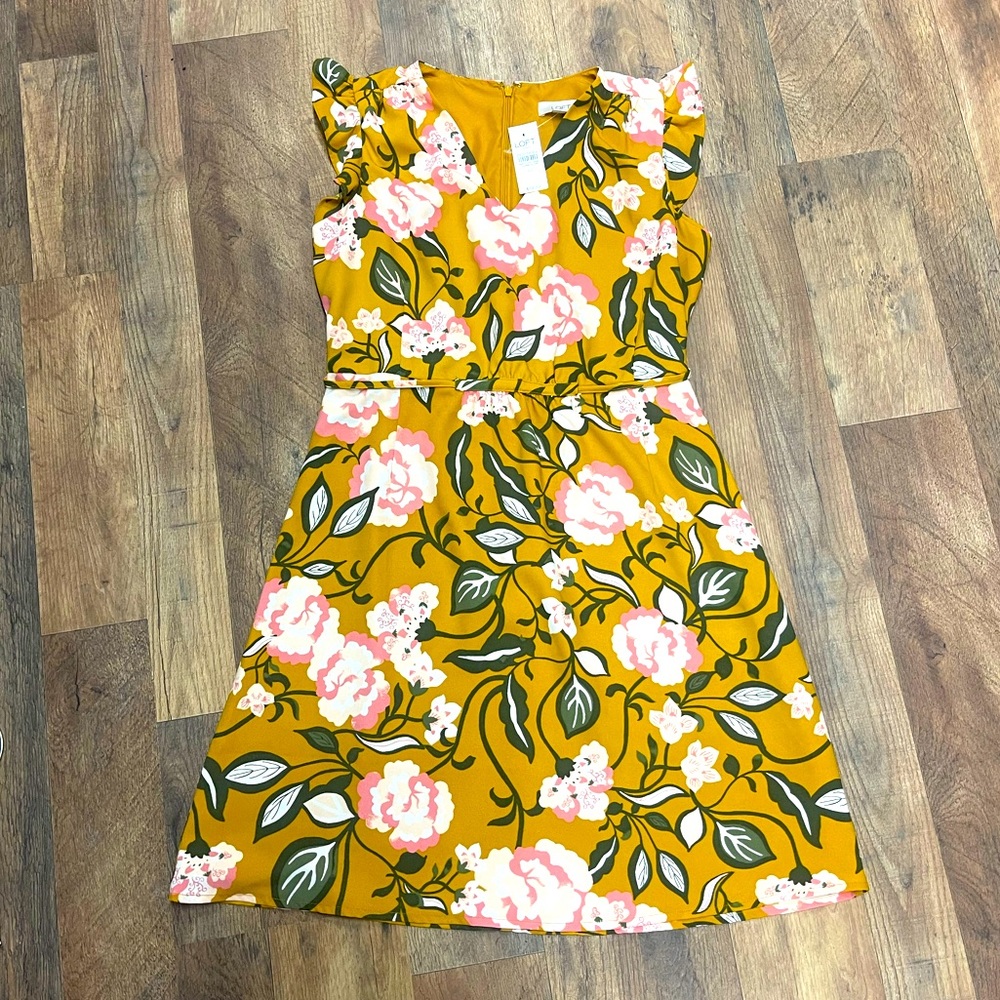 NWT Loft dress